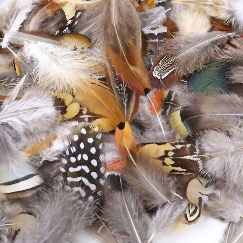 Ballinger Assorted Natural Craft Feather Bulk for Crafting,180Pcs,9 Styles in Saudi Arabia