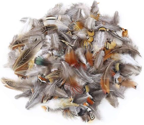 Ballinger Assorted Natural Craft Feather Bulk for Crafting,180Pcs,9 Styles in Saudi Arabia
