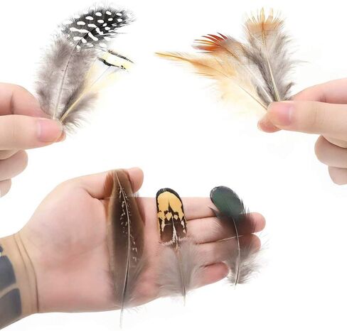 Ballinger Assorted Natural Craft Feather Bulk for Crafting,180Pcs,9 Styles in Saudi Arabia