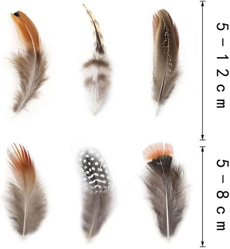 Ballinger Assorted Natural Craft Feather Bulk for Crafting,180Pcs,9 Styles in Saudi Arabia