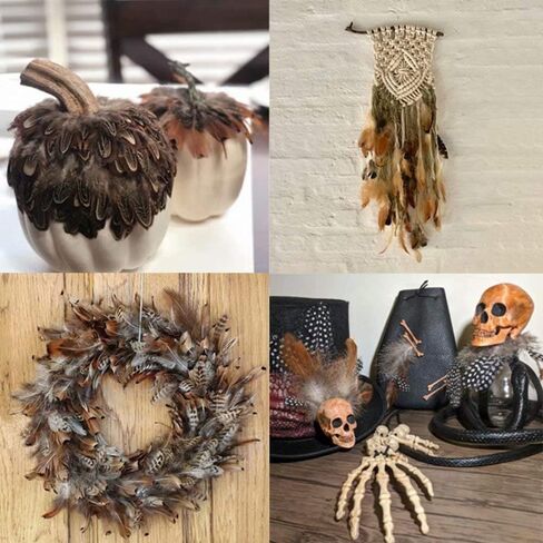 Ballinger Assorted Natural Craft Feather Bulk for Crafting,180Pcs,9 Styles in Saudi Arabia