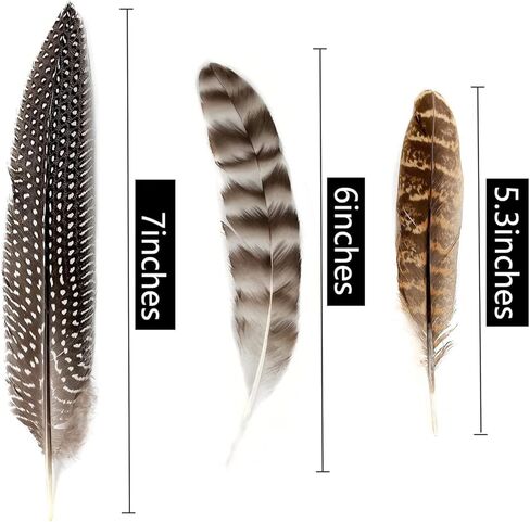 ريش تركي طبيعي منقط، 30 قطعة من ريش الدراج للحرف اليدوية، قبعة يدوية، ترتيبات الزهور، ريشة الجناح، ديكورات حفلات الزفاف والمنزل، 6-8 بوصة (3 أنماط) in Kuwait