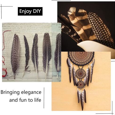 ريش تركي طبيعي منقط، 30 قطعة من ريش الدراج للحرف اليدوية، قبعة يدوية، ترتيبات الزهور، ريشة الجناح، ديكورات حفلات الزفاف والمنزل، 6-8 بوصة (3 أنماط) in Kuwait