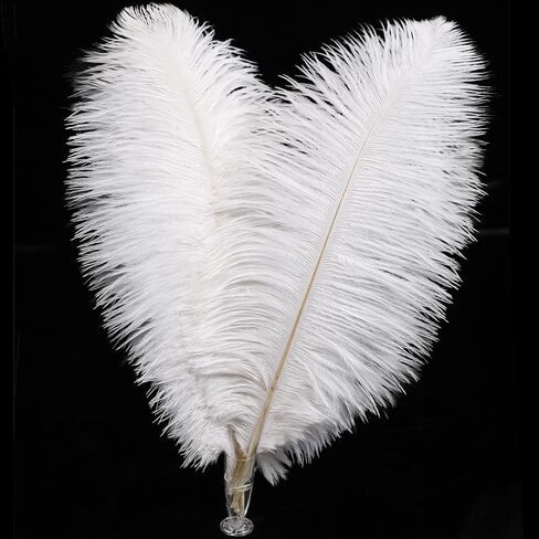 Soarer Black Ostrich Feathers Bulk for DIY Crafting,8-10Inch,30Pcs in Kuwait