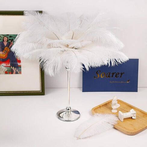 Soarer Black Ostrich Feathers Bulk for DIY Crafting,8-10Inch,30Pcs in Kuwait