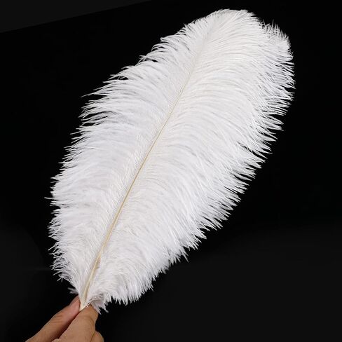 Soarer Black Ostrich Feathers Bulk for DIY Crafting,8-10Inch,30Pcs in Kuwait