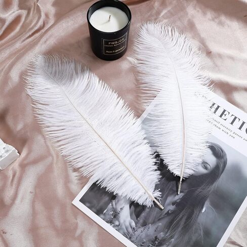 Soarer Black Ostrich Feathers Bulk for DIY Crafting,8-10Inch,30Pcs in Kuwait