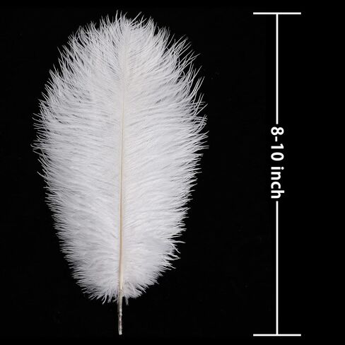 Soarer Black Ostrich Feathers Bulk for DIY Crafting,8-10Inch,30Pcs in Kuwait