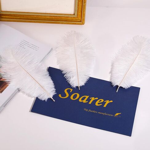 Soarer Black Ostrich Feathers Bulk for DIY Crafting,8-10Inch,30Pcs in Kuwait