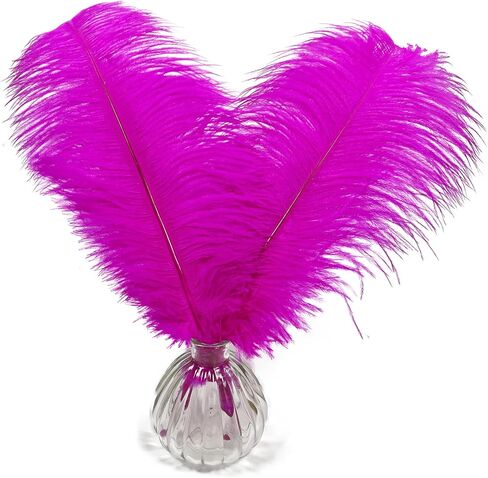 Happy Feather 16-18 inch White Ostrich Feathers Craft for Wedding Party Centerpieces Home Decoration DIY Craft Pack of 10 in Saudi Arabia