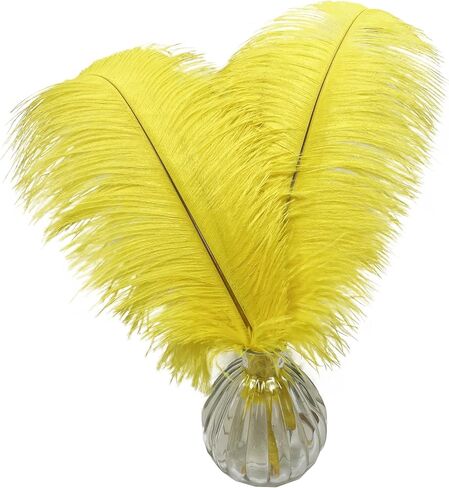Happy Feather 16-18 inch White Ostrich Feathers Craft for Wedding Party Centerpieces Home Decoration DIY Craft Pack of 10 in Saudi Arabia