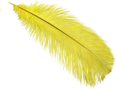 Happy Feather 16-18 inch White Ostrich Feathers Craft for Wedding Party Centerpieces Home Decoration DIY Craft Pack of 10 in Saudi Arabia