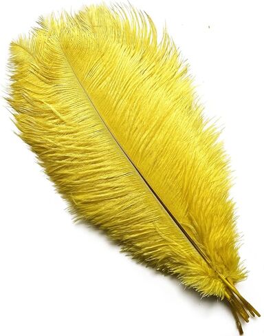 Happy Feather 16-18 inch White Ostrich Feathers Craft for Wedding Party Centerpieces Home Decoration DIY Craft Pack of 10 in Saudi Arabia