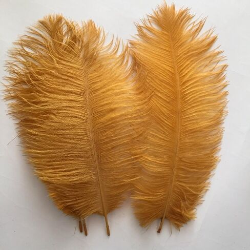 Shekyeon Purple 10-12inch 25-30cm Ostrich Feather Home Decoration DIY Craft Pack of 10 in Kuwait
