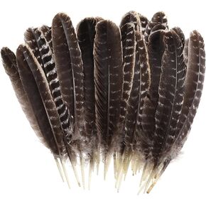 20pcs Wild Turkey Feathers Decoration - Feather for Craft Headdress Home Wedding Centerpieces (Turkish Feathers, 10-12inch)