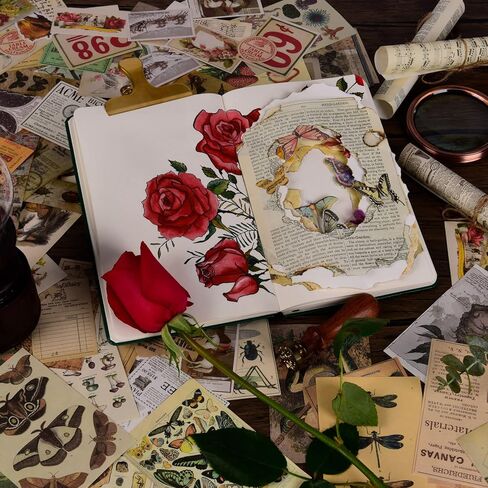 ANERZA 531 PCS Vintage Scrapbooking Supplies Stickers, Aesthetic Scrapbook Paper Art Journaling Kit for Bullet Journals, Ephemera for Junk Journal, Washi Stickers, Cottagecore Decoupage for Adults in Kuwait