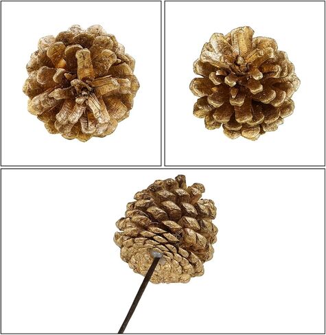 20 قطعة من Winlyn مخروط الصنوبر الذهبي يختار زخارف عيد الميلاد من كوز الصنوبر الزهري وينبع سلكي من كوز الصنوبر الطبيعي بطول 6.9 سم لشجرة عيد الميلاد وترتيبات الزهور وحرف العطلات والديكور الموسمي in Kuwait