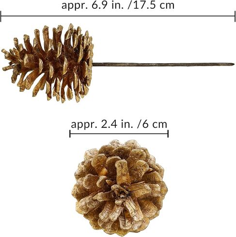 20 قطعة من Winlyn مخروط الصنوبر الذهبي يختار زخارف عيد الميلاد من كوز الصنوبر الزهري وينبع سلكي من كوز الصنوبر الطبيعي بطول 6.9 سم لشجرة عيد الميلاد وترتيبات الزهور وحرف العطلات والديكور الموسمي in Kuwait