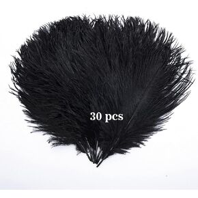 Hollosport 30PCS Bulk Black Ostrich Feathers 10-12 Inches for Centerpieces Party Wedding Home Decorations Dream Catchers Vases Crafts (Black)