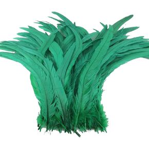 Sowder Black Rooster Coque Tail Feathers 13-16inch Lengh Pack of 50