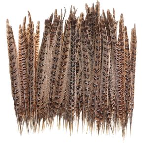 20 قطعة من ريش ذيل الدراج الطبيعي - ريش الذيل لتزيين الحفلات اليدوية والمهرجانات Erikord (10-12 بوصة، ذيل الدراج الأنثوي) in Kuwait