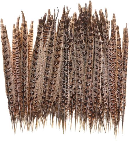 20 قطعة من ريش ذيل الدراج الطبيعي - ريش الذيل لتزيين الحفلات اليدوية والمهرجانات Erikord (10-12 بوصة، ذيل الدراج الأنثوي) in Kuwait