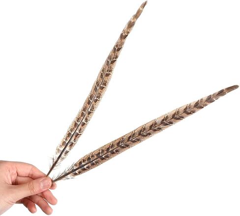 20 قطعة من ريش ذيل الدراج الطبيعي - ريش الذيل لتزيين الحفلات اليدوية والمهرجانات Erikord (10-12 بوصة، ذيل الدراج الأنثوي) in Kuwait