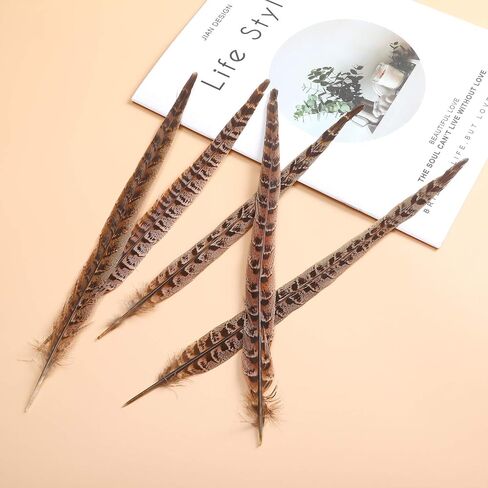 20 قطعة من ريش ذيل الدراج الطبيعي - ريش الذيل لتزيين الحفلات اليدوية والمهرجانات Erikord (10-12 بوصة، ذيل الدراج الأنثوي) in Kuwait