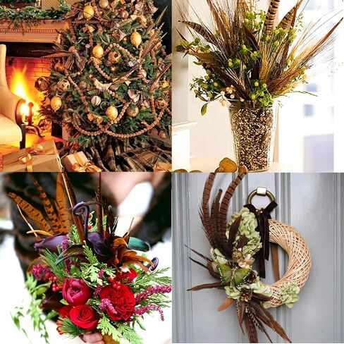 20 قطعة من ريش ذيل الدراج الطبيعي - ريش الذيل لتزيين الحفلات اليدوية والمهرجانات Erikord (10-12 بوصة، ذيل الدراج الأنثوي) in Kuwait