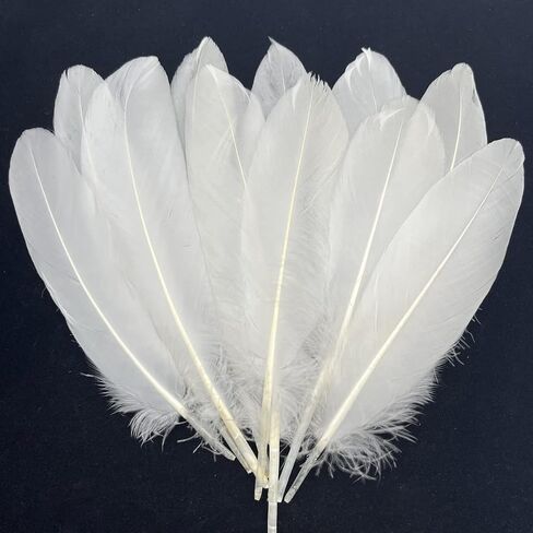 100pcs Red Goose Feathers 6-8 Inch for Crafts Wedding Party Decorations Clothing Hats Accessories Dream Catchers Making in Kuwait