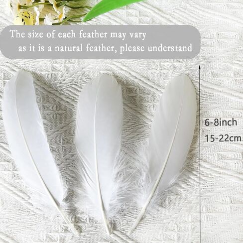 100pcs Red Goose Feathers 6-8 Inch for Crafts Wedding Party Decorations Clothing Hats Accessories Dream Catchers Making in Kuwait