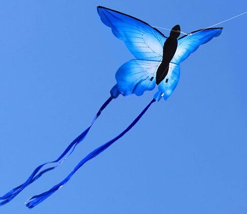 HENGDA KITE for Kids & Adults, So Beautiful Butterfly Kite for Outdoor Games and Activities Single Line Kite with Flying Tools in Kuwait