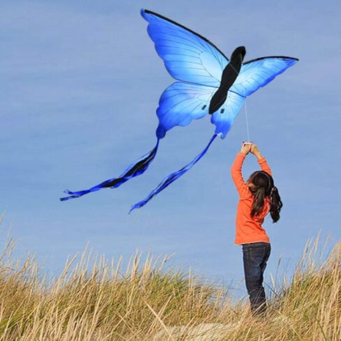 HENGDA KITE for Kids & Adults, So Beautiful Butterfly Kite for Outdoor Games and Activities Single Line Kite with Flying Tools in Kuwait