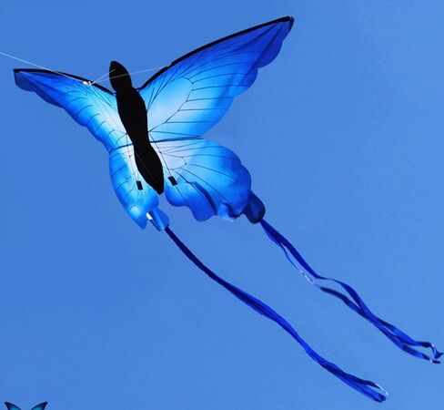 HENGDA KITE for Kids & Adults, So Beautiful Butterfly Kite for Outdoor Games and Activities Single Line Kite with Flying Tools in Kuwait