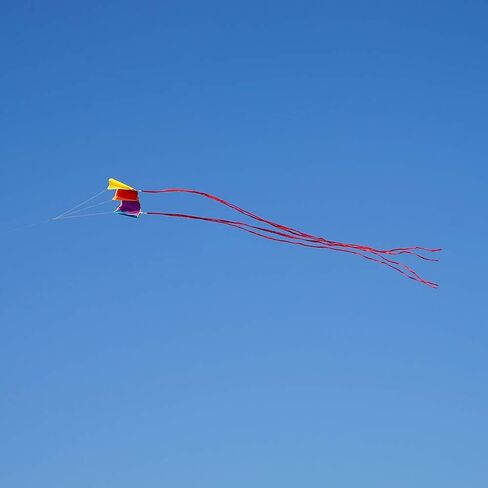 Besra Colorful Parafoil Kite with Long Tail Easy to Fly Outdoor Fun Sports in Saudi Arabia