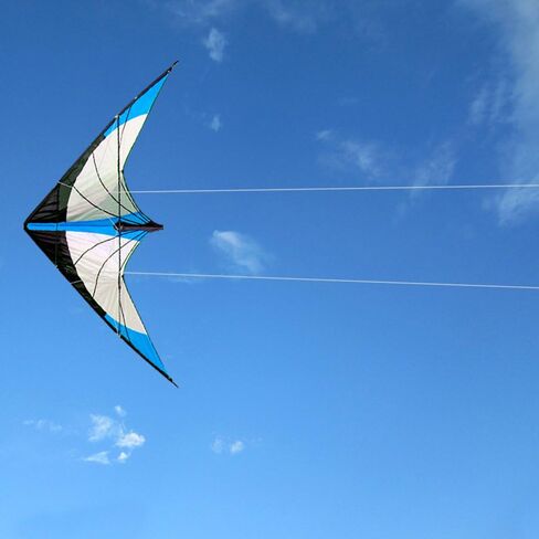 HENGDA KITE-Upgrade Star Rhyme 48 بوصة خط مزدوج طائرة ورقية للأطفال والكبار، الرياضات الخارجية، طائرة ورقية رياضية للشاطئ والمرح، مقبض، خط، وحقيبة متضمنة in Kuwait