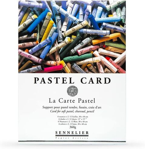LaCarte Pastel Card Block- Twelve 12x15-3/4 Inch Sheets in Saudi Arabia