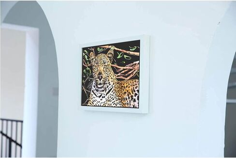 MIASTAR Scratch Art Animal Rainbow Painting Paper, Creative foil Scratch Art Toys Gift, Engraving Art & Craft Sets, DIY Sketch Card Scratchboard for Kids & Adults - 16'' x 11.2'' (Wolf/Lion) in Kuwait