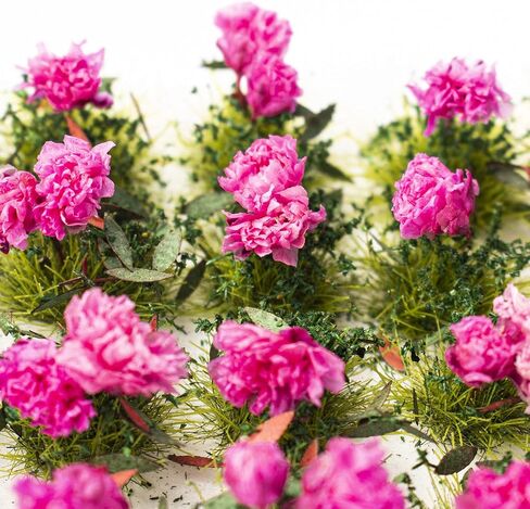 40 Pcs Flower Cluster Flower Vegetation Groups Grass Tufts Miniature Static Scenery Model for DIY Architecture Building Model Railway Train Diorama Garden Scenery Landscape Layout (White) in Saudi Arabia