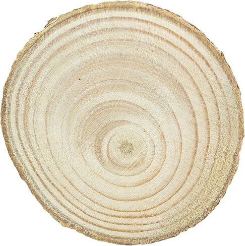 Mini Assorted Size Natural Color Tree Bark Wood Slices Round Log Discs for Arts & Crafts, Home Hanging Decorations, Event Ornaments (5-8cm, 20pcs) in Saudi Arabia