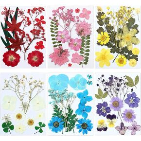 eBoot 72 Pcs Dried Pressed Flowers for Resin Molds Real Pressed Flowers Dry Leaves Bulk Natural Herbs Kit for Scrapbooking DIY Art Crafts Jewelry Molds Candle Soap Making Nails Decor(Gorgeous Style) in Saudi Arabia