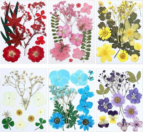 eBoot 72 Pcs Dried Pressed Flowers for Resin Molds Real Pressed Flowers Dry Leaves Bulk Natural Herbs Kit for Scrapbooking DIY Art Crafts Jewelry Molds Candle Soap Making Nails Decor(Gorgeous Style) in Saudi Arabia