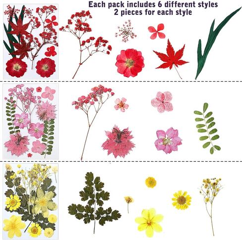 eBoot 72 Pcs Dried Pressed Flowers for Resin Molds Real Pressed Flowers Dry Leaves Bulk Natural Herbs Kit for Scrapbooking DIY Art Crafts Jewelry Molds Candle Soap Making Nails Decor(Gorgeous Style) in Saudi Arabia