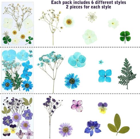 eBoot 72 Pcs Dried Pressed Flowers for Resin Molds Real Pressed Flowers Dry Leaves Bulk Natural Herbs Kit for Scrapbooking DIY Art Crafts Jewelry Molds Candle Soap Making Nails Decor(Gorgeous Style) in Saudi Arabia