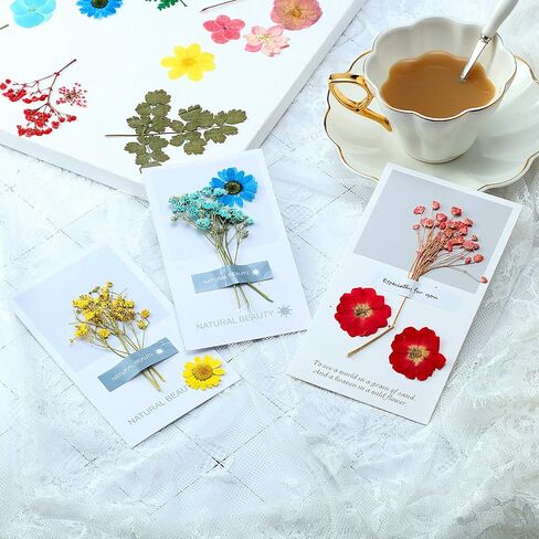 eBoot 72 Pcs Dried Pressed Flowers for Resin Molds Real Pressed Flowers Dry Leaves Bulk Natural Herbs Kit for Scrapbooking DIY Art Crafts Jewelry Molds Candle Soap Making Nails Decor(Gorgeous Style) in Saudi Arabia