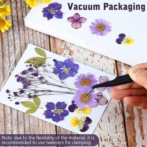 eBoot 72 Pcs Dried Pressed Flowers for Resin Molds Real Pressed Flowers Dry Leaves Bulk Natural Herbs Kit for Scrapbooking DIY Art Crafts Jewelry Molds Candle Soap Making Nails Decor(Gorgeous Style) in Saudi Arabia