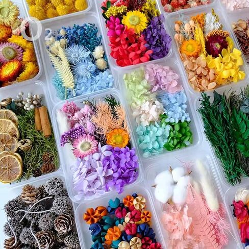 Dried Flowers for Resin Jewelry molds with Tweezers, Real Pressed Dry Flower Leaves Mixed Multiple Colorful, for DIY Crafts Nail Art Candle Soap Making Phone Case Jewelry Pendant Floral Decors in Saudi Arabia