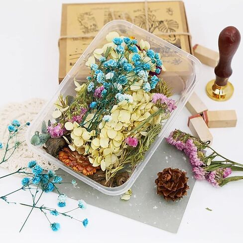 Dried Flowers for Resin Jewelry molds with Tweezers, Real Pressed Dry Flower Leaves Mixed Multiple Colorful, for DIY Crafts Nail Art Candle Soap Making Phone Case Jewelry Pendant Floral Decors in Saudi Arabia