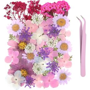 40Pcs Natural Pressed Dried Flowers Resin, Dry Flowers for Resin Accessories with Tweezer, Dried Flower for Scrapbooking DIY Art Crafts, Epoxy Resin Jewelry Molds, Candle, Nails Décor, Craft Making in Kuwait