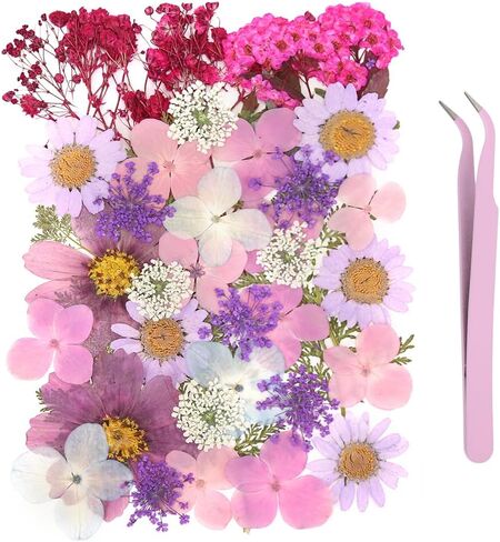 40 قطعة من راتنج الزهور المجففة المضغوطة الطبيعية، زهور جافة لاكسسوارات الراتنج مع ملقط، زهور مجففة لدفتر القصاصات والحرف الفنية التي تصنعها بنفسك، قوالب مجوهرات راتنج الايبوكسي والشموع وديكور الاظافر in Kuwait